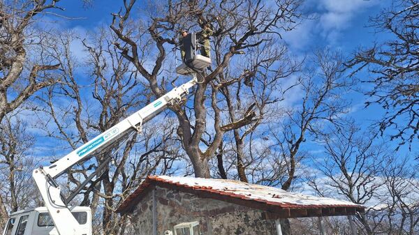 Военнослужащие МО Южной Осетии провели обрубку деревьев вокруг часовни на высоте Паук. - Sputnik Южная Осетия