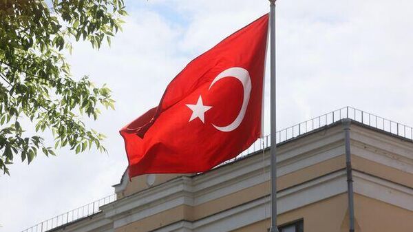 Пытается усидеть на многих стульях: эксперт о заявлении МИД Турции - Sputnik Южная Осетия