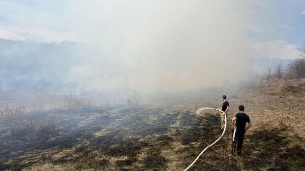 Пожарные Южной Осетии успешно ликвидировали возгорание в Знаурском районе  - Sputnik Южная Осетия
