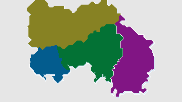 Сколько одномандатных округов в Южной Осетии - Sputnik Южная Осетия