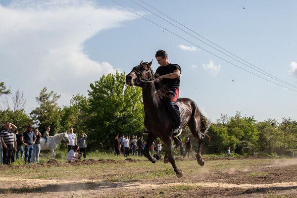 Конные скачки  - Sputnik Южная Осетия