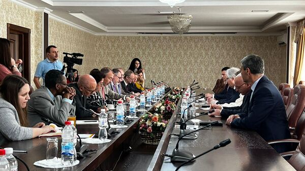 В Цхинвале проходит встреча сопредседателей Женевских дискуссий  - Sputnik Южная Осетия