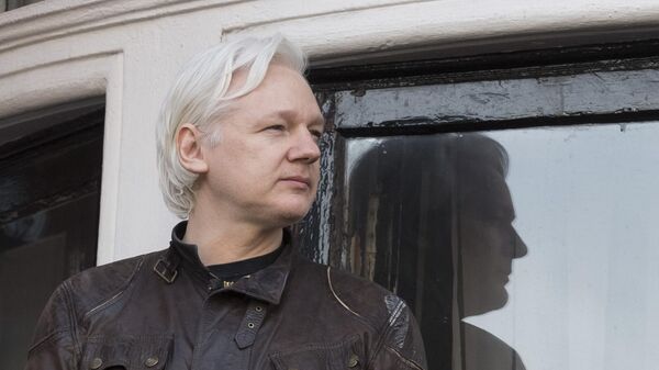 Сооснователь WikiLeaks Джулиан Ассанж. Архивное фото. - Sputnik Южная Осетия