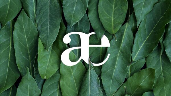 Буква æ - Sputnik Южная Осетия