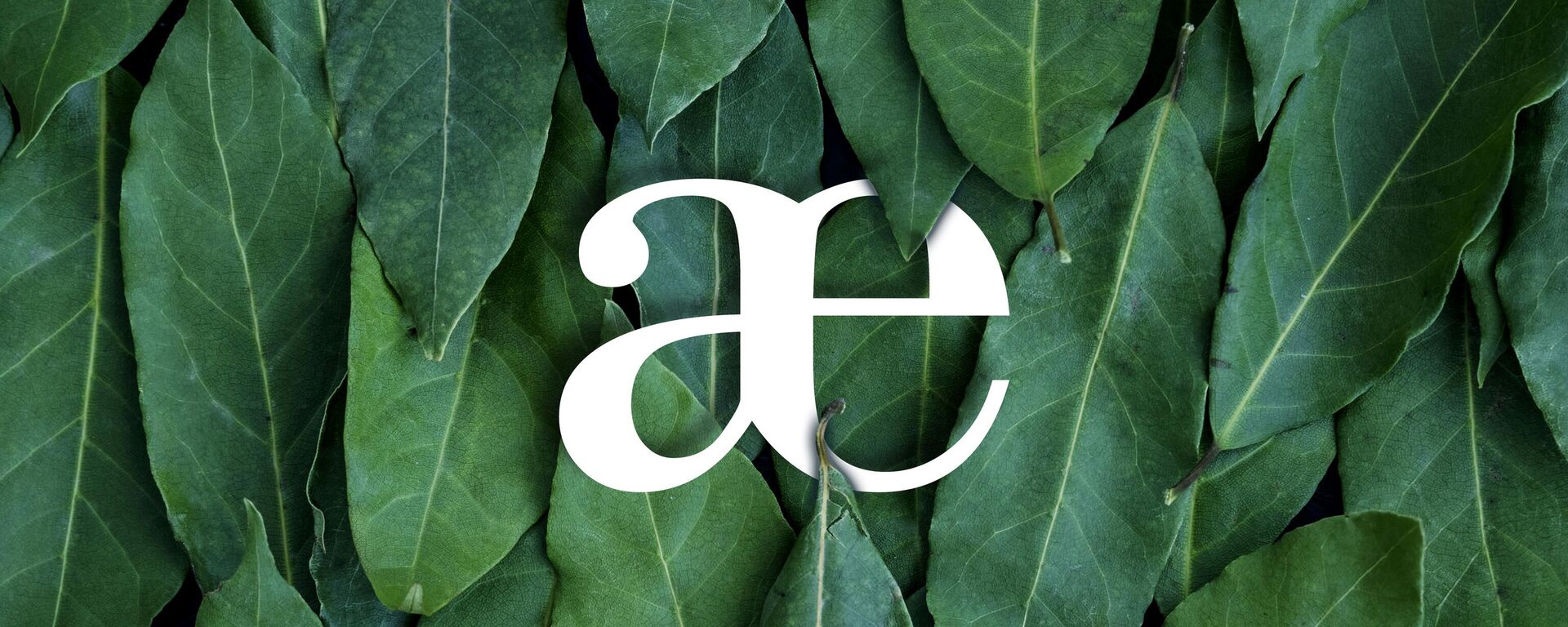 Буква æ - Sputnik Южная Осетия, 1920, 26.10.2023