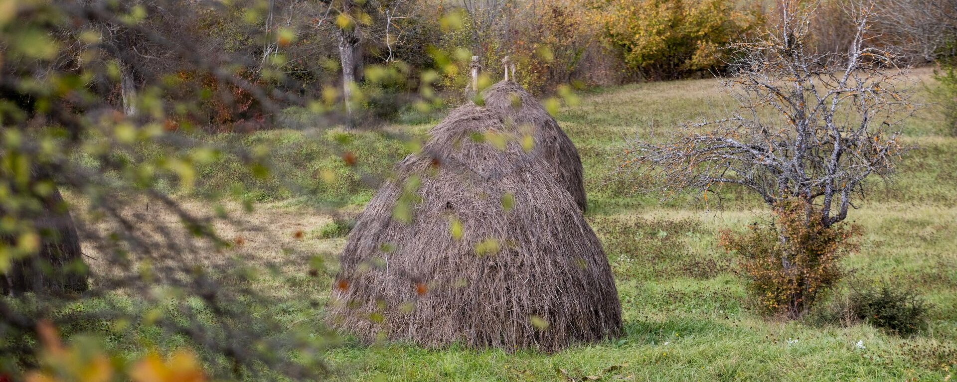 Осень в горах  Осень в горах  - Sputnik Южная Осетия, 1920, 25.10.2025