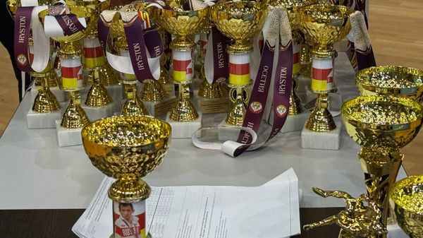 Награды турнира по вольной борьбе памяти Бесика Кудухова. Архивное фото - Sputnik Южная Осетия