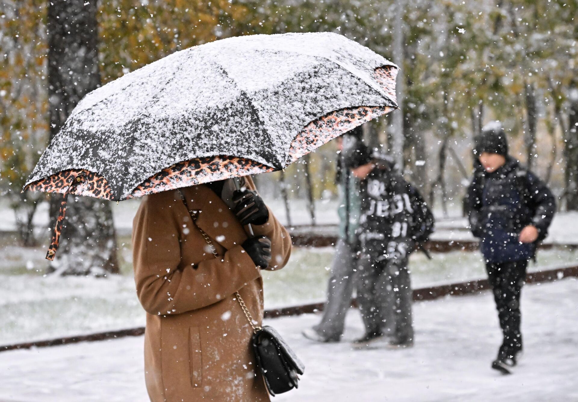 Во время снегопада - Sputnik Южная Осетия, 1920, 01.12.2025