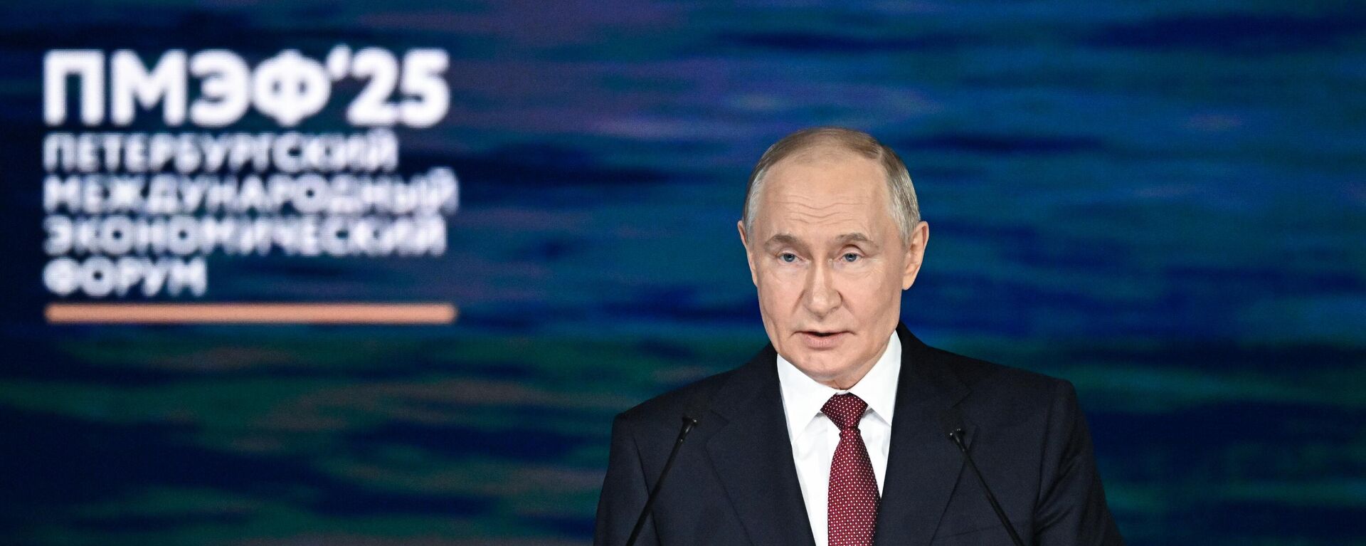 Президент РФ Владимир Путин на пленарном заседании ПМЭФ-2025 - Sputnik Южная Осетия, 1920, 20.06.2025