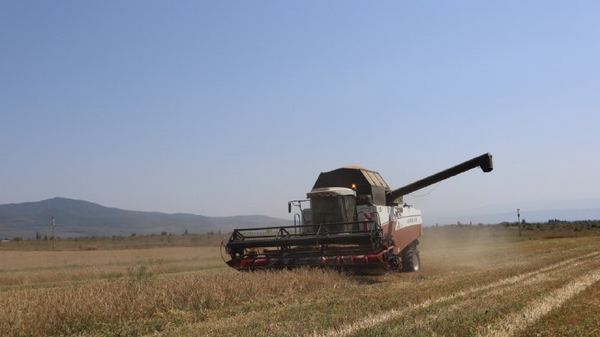 В Южной Осетии стартовала уборочная кампания   - Sputnik Южная Осетия