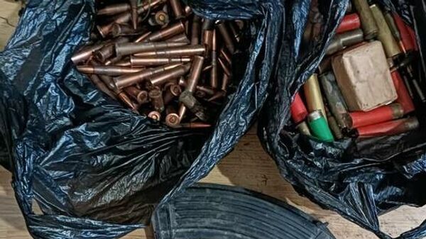 Сотрудники УВД Цхинвальского района изъяли у сельчанина кусты конопли, марихуану и боеприпасы - Sputnik Южная Осетия