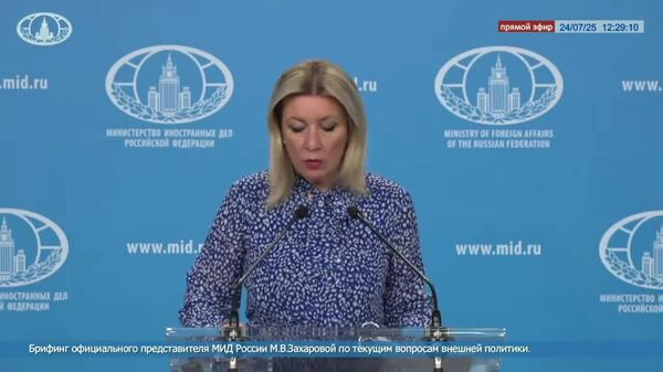 Простите, а в японские выборы — тоже мы? - Sputnik Южная Осетия