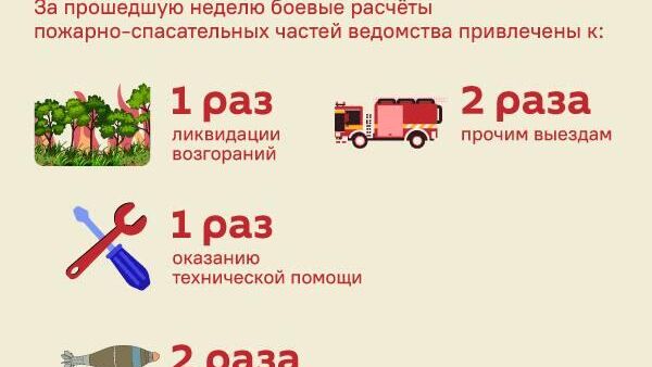 Статистика происшествий в Южной Осетии - Sputnik Южная Осетия