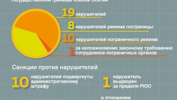 Число нарушителей госграницы Южной Осетии за прошедший месяц - Sputnik Южная Осетия