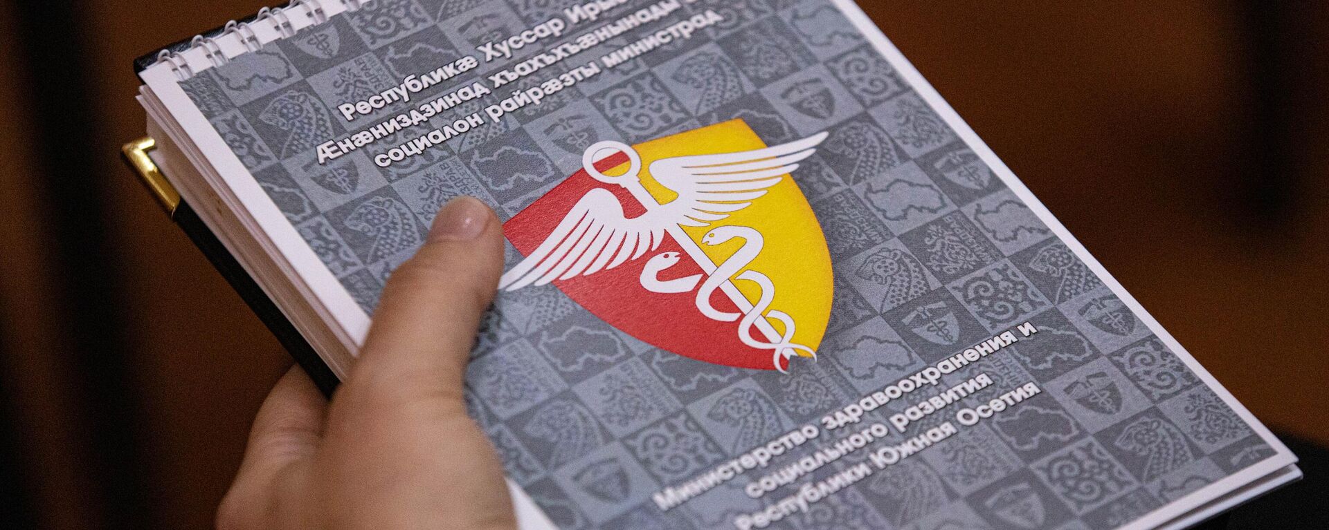 Пресс-конференция в Минздраве РЮО - Sputnik Южная Осетия, 1920, 02.10.2025