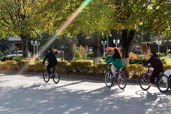 Осень в Южной Осетии Осень в Южной Осетии - Sputnik Южная Осетия