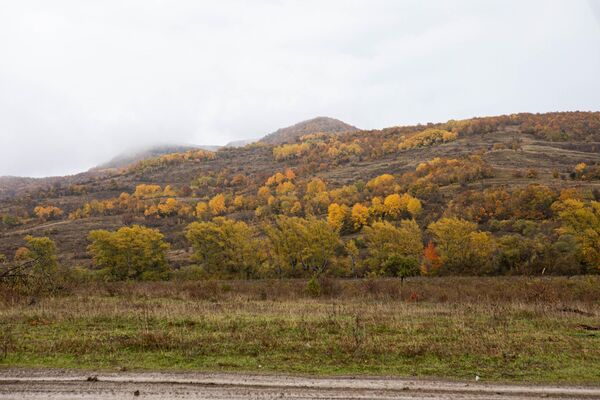 Осень в Южной Осетии Осень в Южной Осетии - Sputnik Южная Осетия