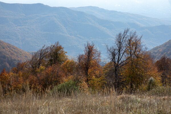 Осень в Южной Осетии Осень в Южной Осетии - Sputnik Южная Осетия
