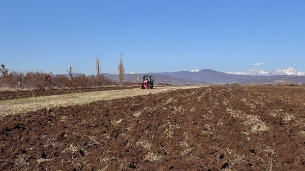 Осенне-полевые работы в Южной Осетии - Sputnik Южная Осетия