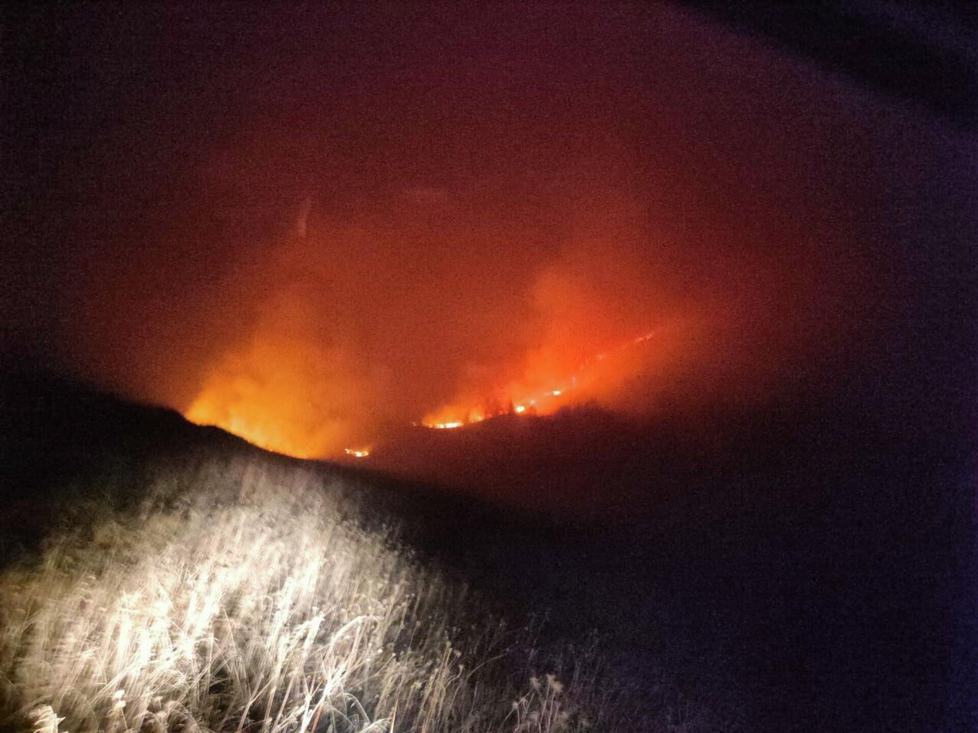 Ландшафтный пожар в окрестностях села Едыс  - Sputnik Южная Осетия, 1920, 08.11.2025