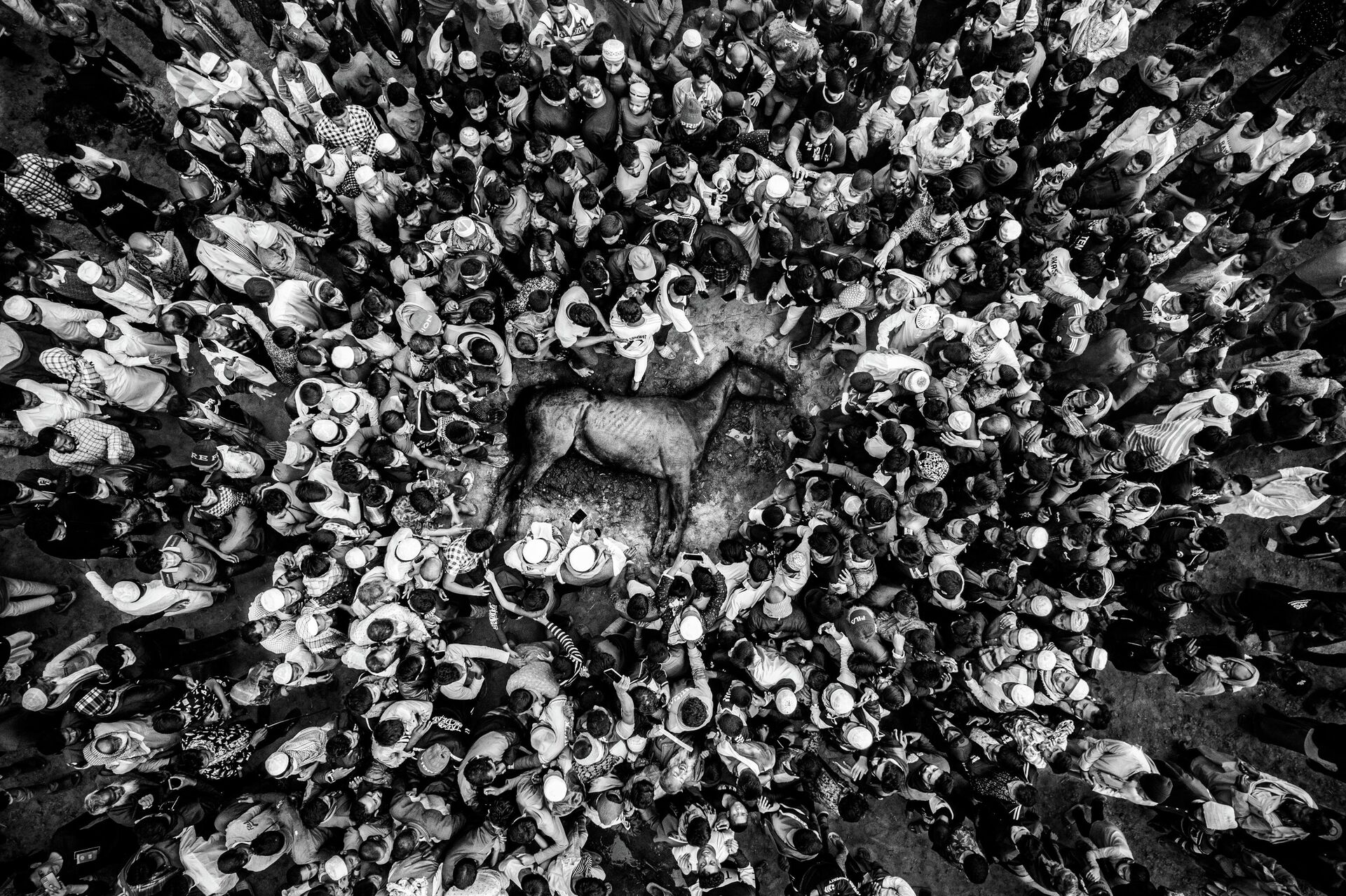 Последний забег: падение чемпиона Последний забег: падение чемпиона - Sputnik Южная Осетия, 1920, 18.11.2025