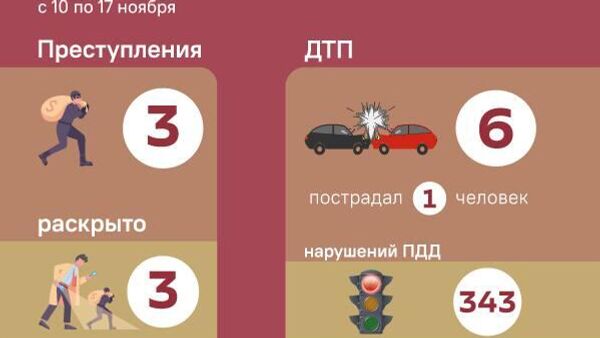 Три преступления и восемь задержанных - МВД о происшествиях за неделю - Sputnik Южная Осетия