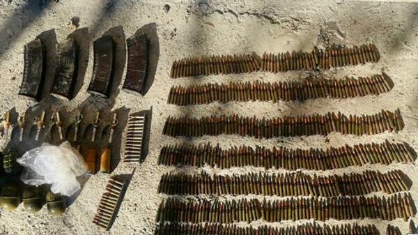 Жителя Знаурского района привлекут к уголовной ответственности за незаконное культивирование наркосодержащих растений и за незаконное хранение боеприпасов - Sputnik Южная Осетия