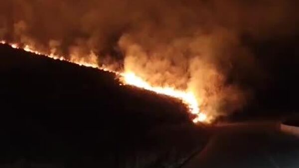 В Дзауском районе вспыхнули крупные ландшафтные пожары - Sputnik Южная Осетия