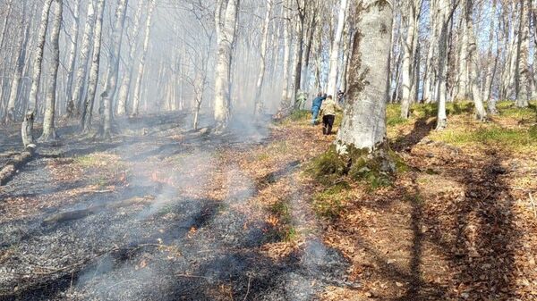 Пожар в Дзауском районе - Sputnik Южная Осетия