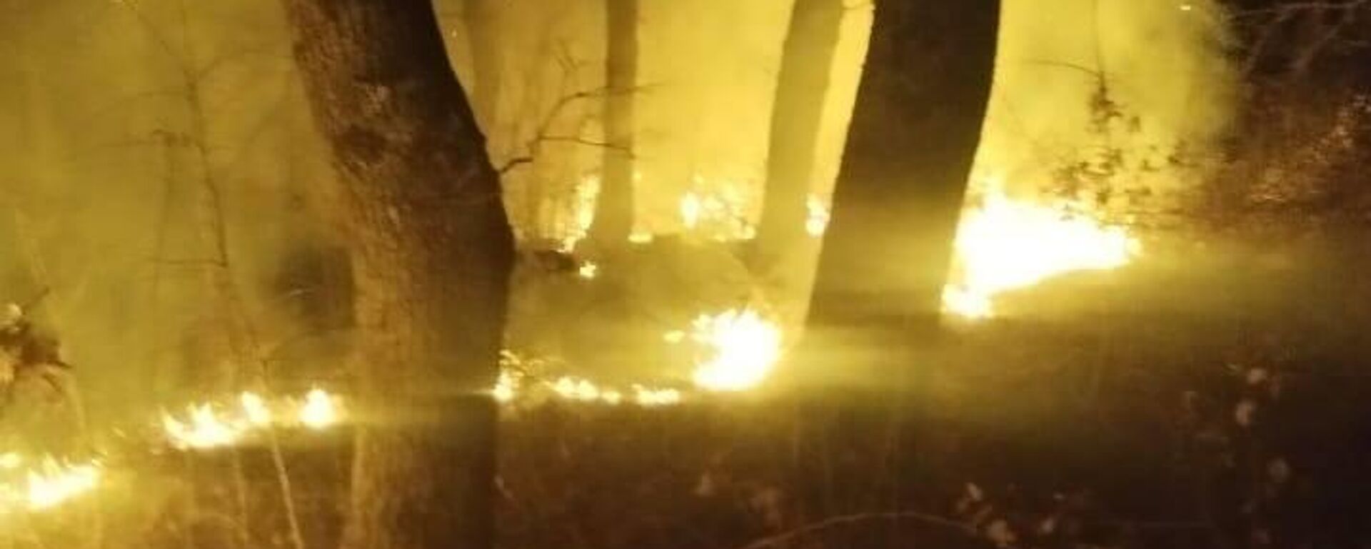 Возгорание сухостоя в селе Вахтана Возгорание сухостоя в селе Вахтана - Sputnik Южная Осетия, 1920, 24.11.2025