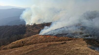 Ландшафтный пожар в Южной Осетии