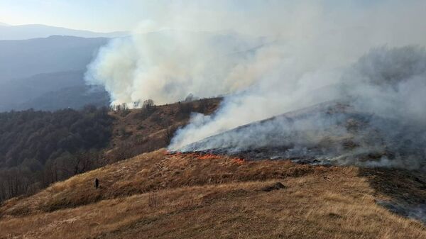 Ландшафтный пожар в Южной Осетии - Sputnik Южная Осетия