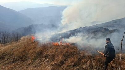 Ландшафтный пожар в Южной Осетии