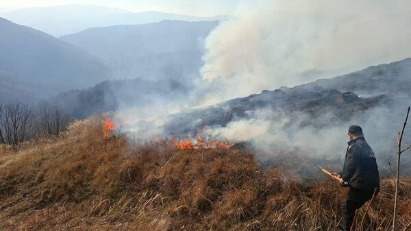 Ландшафтный пожар в Южной Осетии - Sputnik Южная Осетия