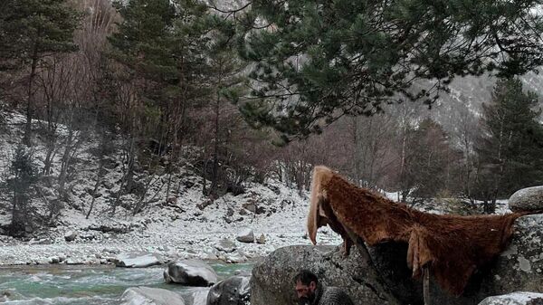 Охотник - Sputnik Южная Осетия