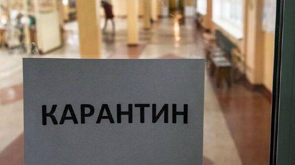 В школах Цхинвала из-за гриппа и ОРВИ закрыли на карантин несколько классов - Sputnik Южная Осетия