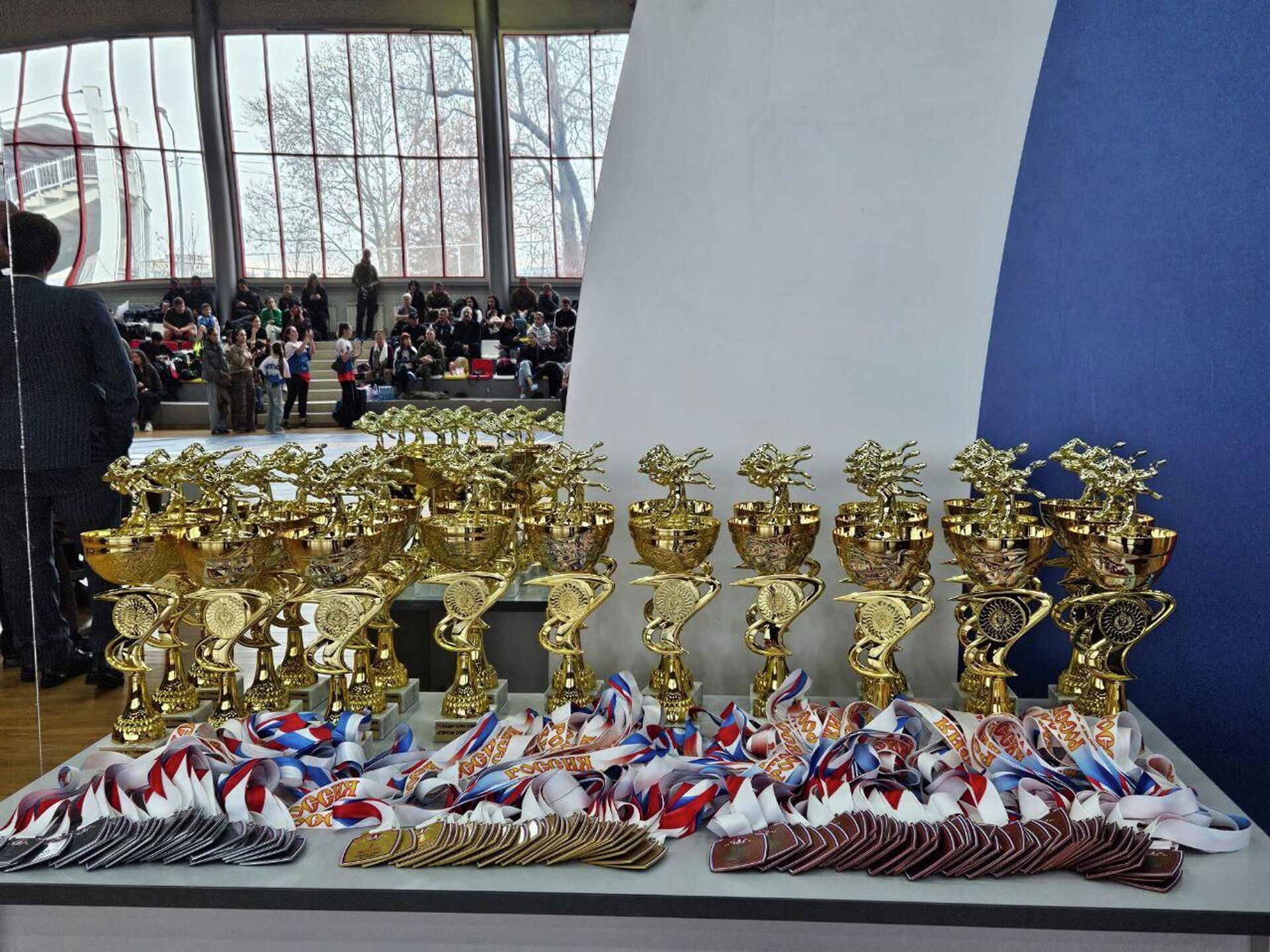 Соревнования в рамках международного турнира по единоборствам Герои Отечества в Цхинвале Соревнования в рамках международного турнира по единоборствам Герои Отечества в Цхинвале - Sputnik Южная Осетия, 1920, 07.12.2025