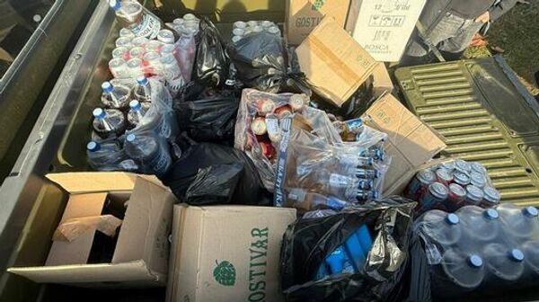 В Цхинвале уничтожили 500 бутылок конфискованного алкоголя  - Sputnik Южная Осетия