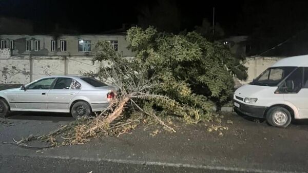 Последствия стихии в Цхинвале - Sputnik Южная Осетия