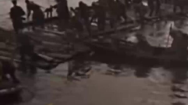 Редкая птица долетит до середины - Sputnik Южная Осетия