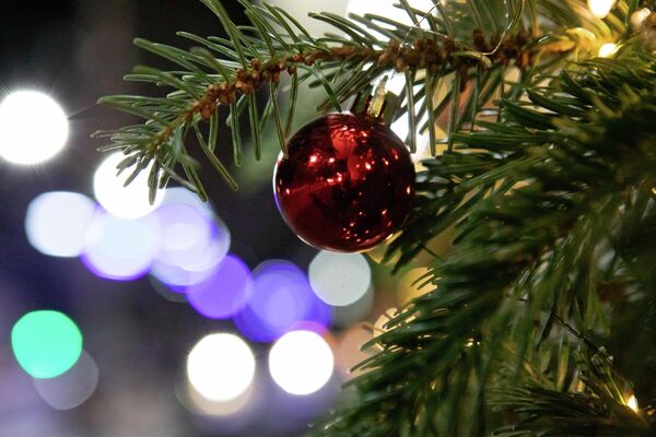 Новогодний Цхинвал Новогодний Цхинвал - Sputnik Южная Осетия