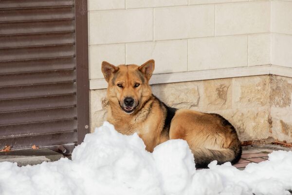 Новогодний Цхинвал Новогодний Цхинвал - Sputnik Южная Осетия
