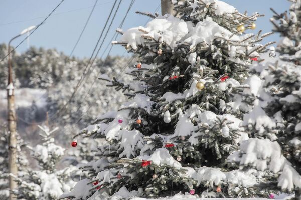Новогодний Цхинвал Новогодний Цхинвал - Sputnik Южная Осетия