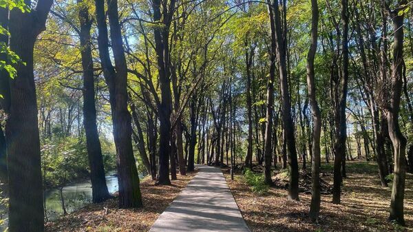 В 2026 году в Северной Осетии благоустроят 40 общественных зон - Sputnik Южная Осетия