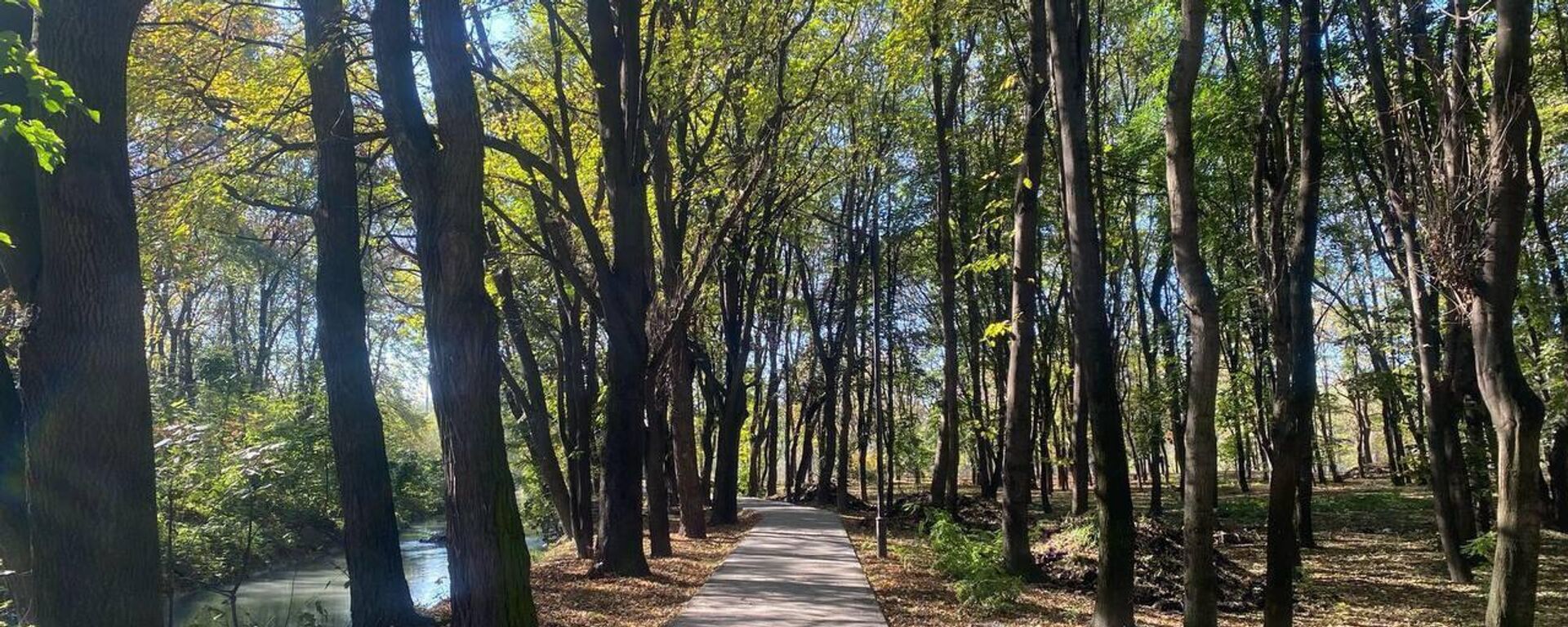 В 2026 году в Северной Осетии благоустроят 40 общественных зон - Sputnik Южная Осетия, 1920, 10.01.2026