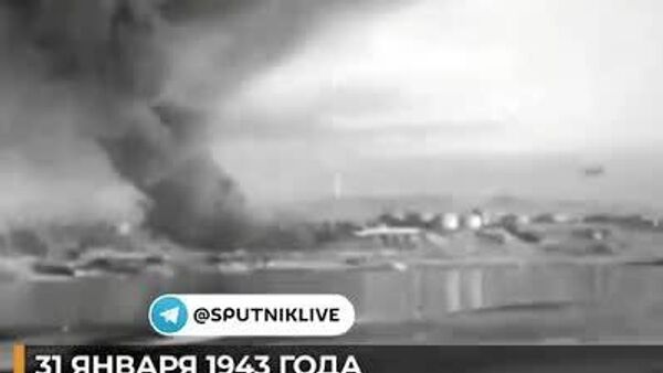 Загнанный волк - Sputnik Южная Осетия