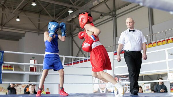Первенство РЮО по боксу - Sputnik Южная Осетия