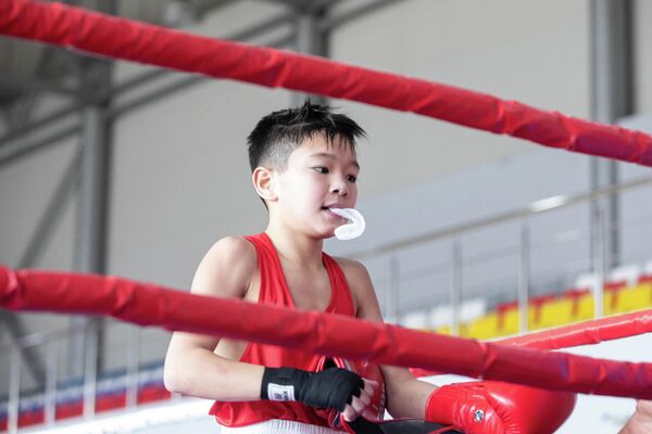 Первенство РЮО по боксу среди юношей и юниоров памяти кавалера ордена "Уацамонга", мастера спорта СССР по боксу Джамболата Кокоева - Sputnik Южная Осетия