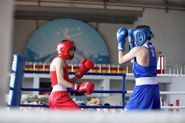 Первенство РЮО по боксу среди юношей и юниоров памяти кавалера ордена "Уацамонга", мастера спорта СССР по боксу Джамболата Кокоева - Sputnik Южная Осетия