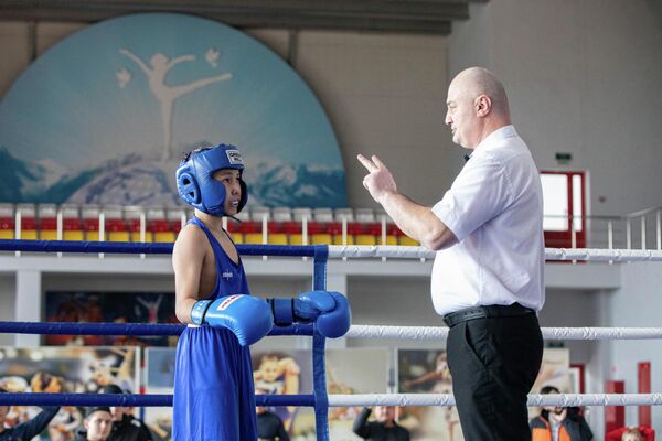 Первенство РЮО по боксу среди юношей и юниоров памяти кавалера ордена "Уацамонга", мастера спорта СССР по боксу Джамболата Кокоева - Sputnik Южная Осетия